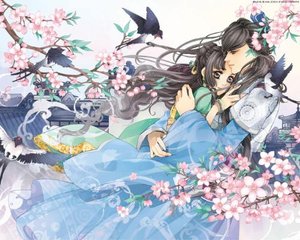中国十大禁用黄台